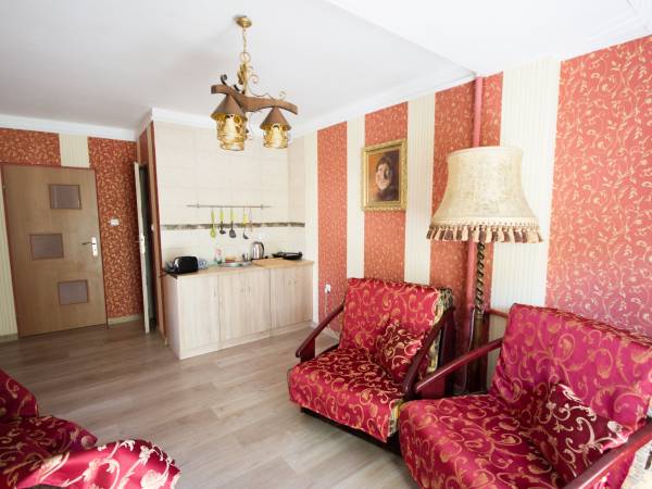 Studio dwupokojowe - pierwszy pokój z aneksem kuchennym