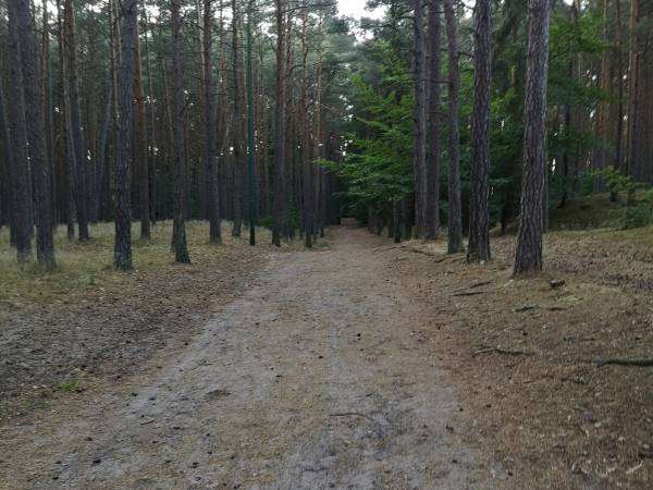 Apartament Biała Mewa