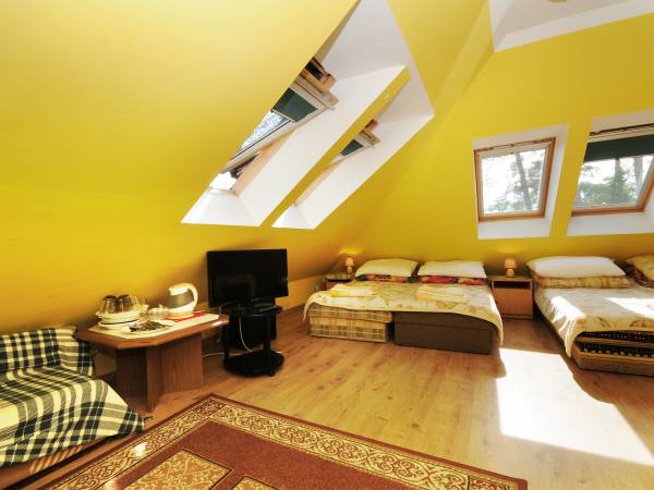 pok.11 4 tapczany łaz tv