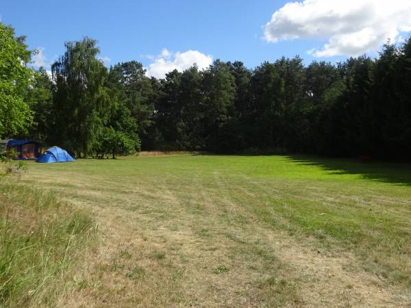 camping,pole namiotowe