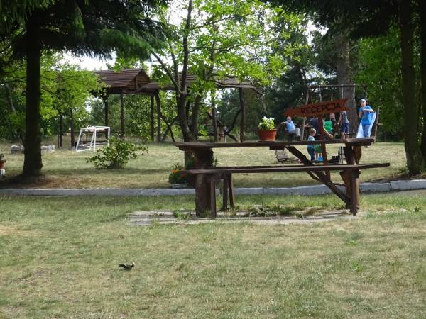 Wypoczynek pod Brzozami