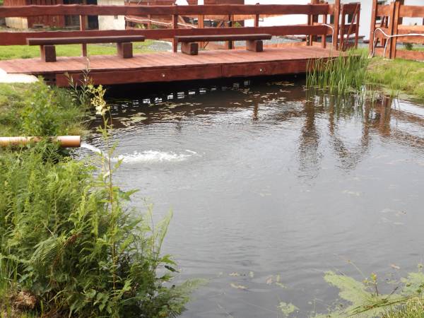 ogród dla gości z domku 8 osobowego