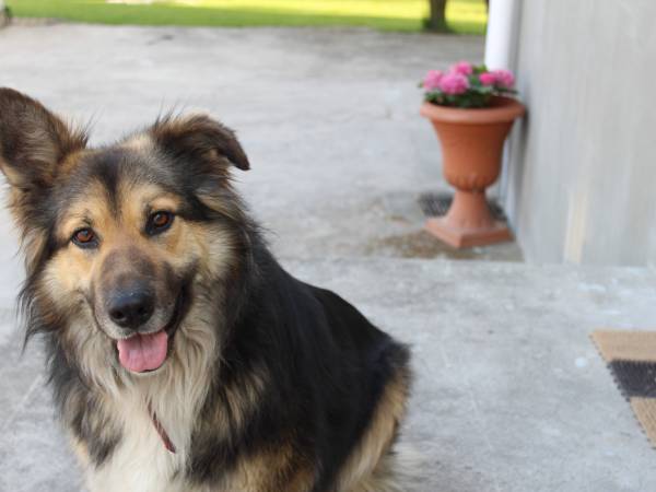 Nasz towarzysz- LUNA