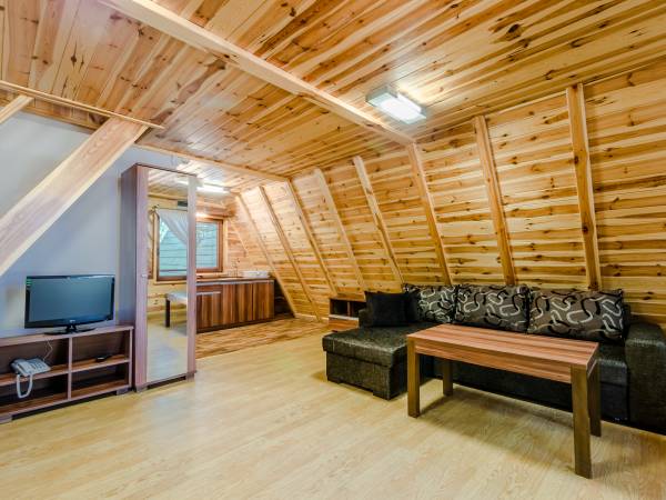 Salon w domku Leśna Chata