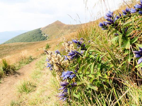 Zajazd pod Połoniną