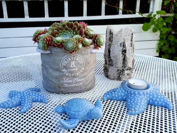 KATARINA Beach Apartments