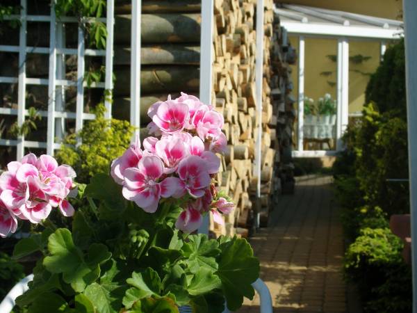 KATARINA Beach Apartments