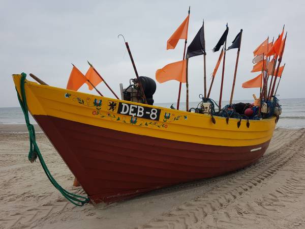 NASZA ŁÓDŹ DĘB-8