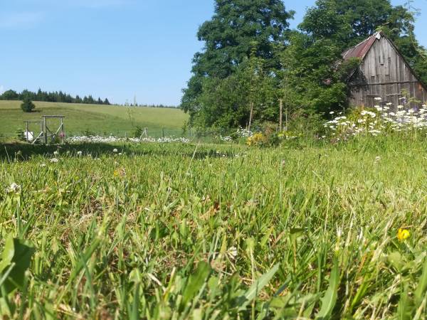 Dom i domki Czerwona Woda