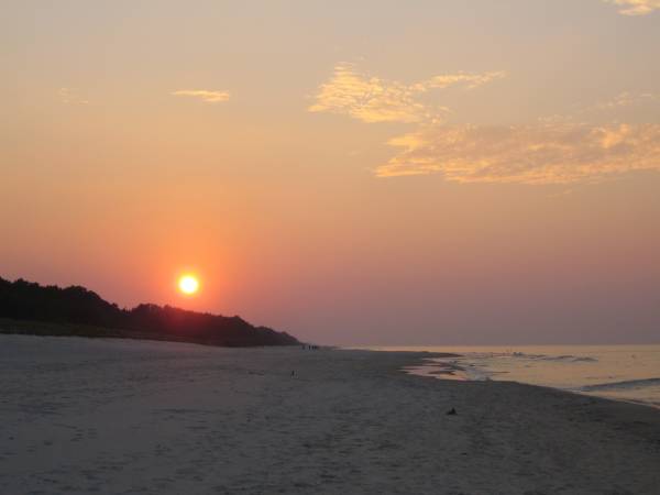 Wynajem pokoi - EDEN