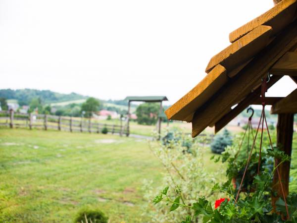 Domek do wynajęcia na Roztoczu