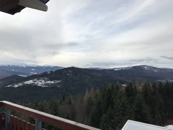 Agro dom - apartament   - okolica