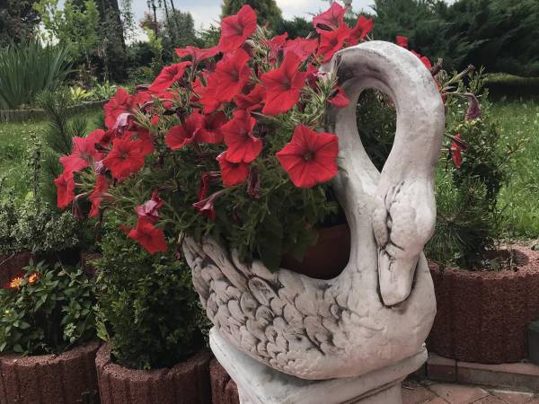 Agroturystyka Kalisianka