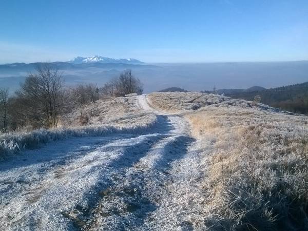 MUSZYNA WIDOK Z MALNIKA.