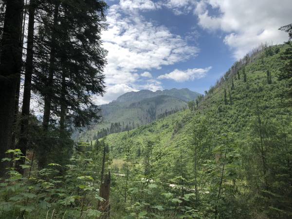 Pokoje Gościnne Borowy