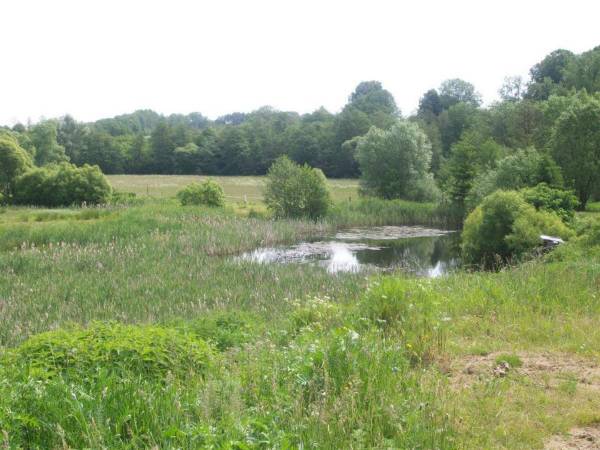 Agroturystyka Cicha Woda