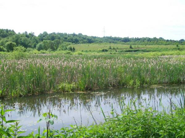 Agroturystyka Cicha Woda