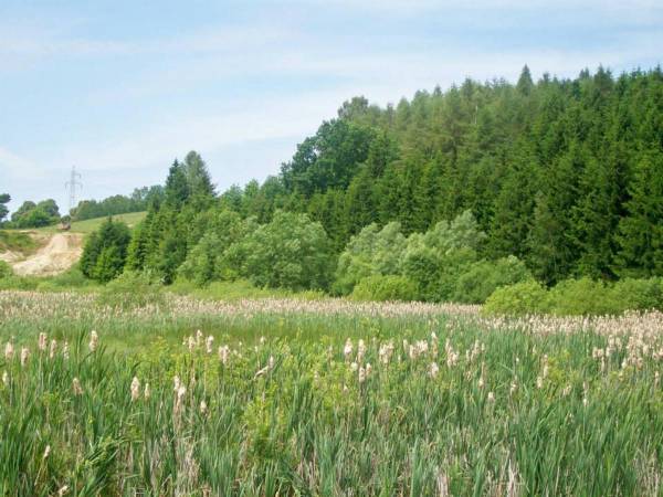 Agroturystyka Cicha Woda