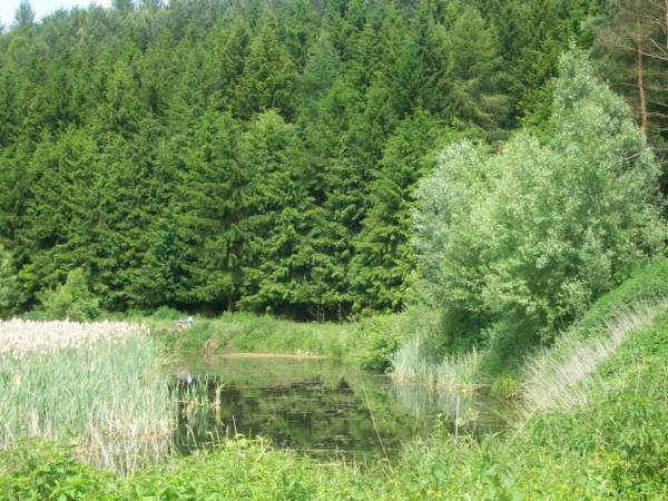 Agroturystyka Cicha Woda