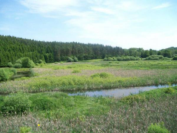 Agroturystyka Cicha Woda