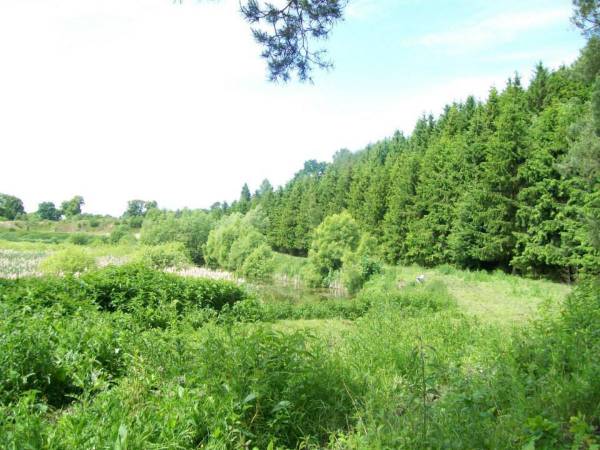 Agroturystyka Cicha Woda