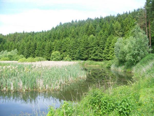 Agroturystyka Cicha Woda