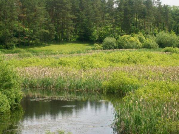 Agroturystyka Cicha Woda