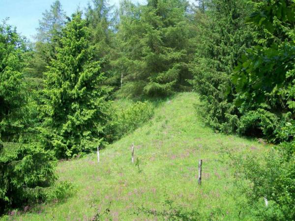 Agroturystyka Cicha Woda