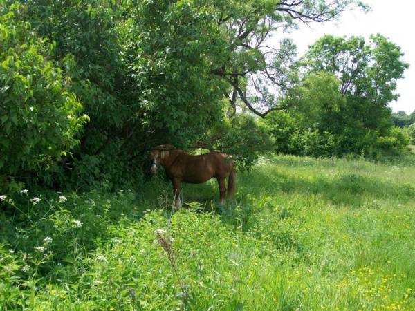 Agroturystyka Cicha Woda