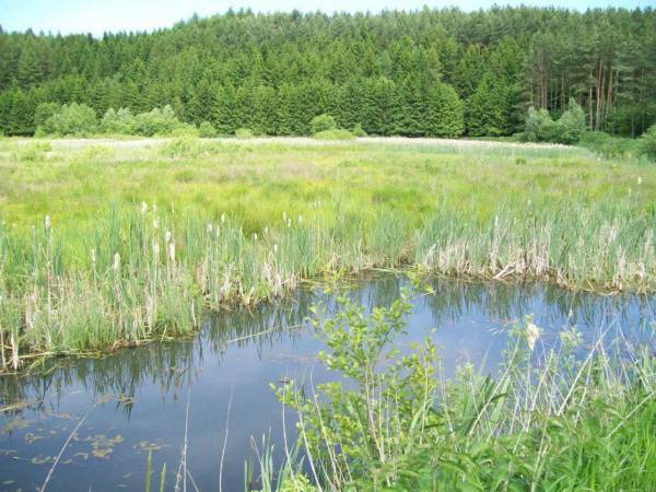 Agroturystyka Cicha Woda