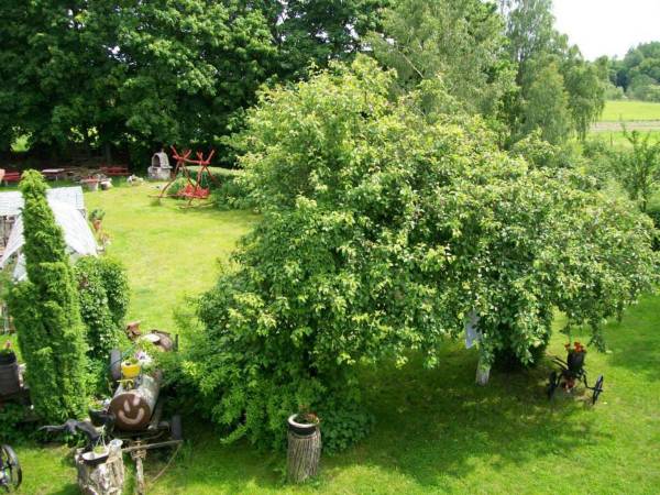 Agroturystyka Cicha Woda