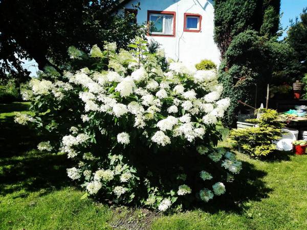 Agroturystyka Cicha Woda