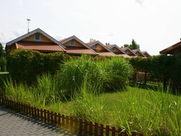 Dużo zieleni na obiekcie