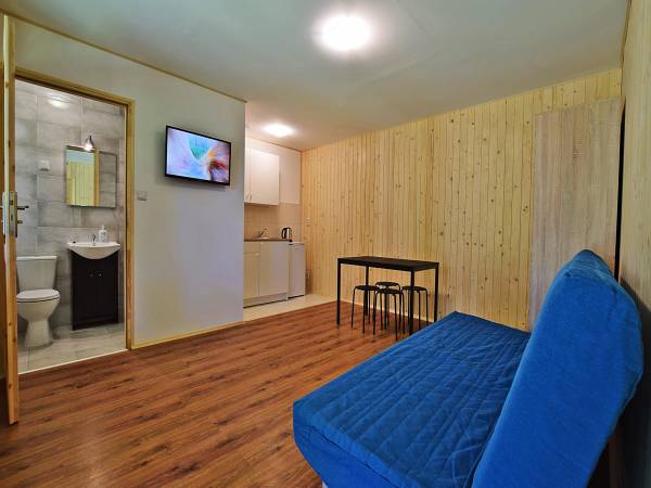 salon z aneksem kuchennym i łazienka