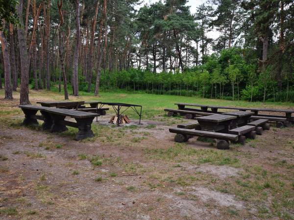 Miejsce na ognisko/grilla