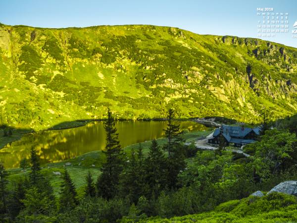 Apartamenty i pokoje Gazda
