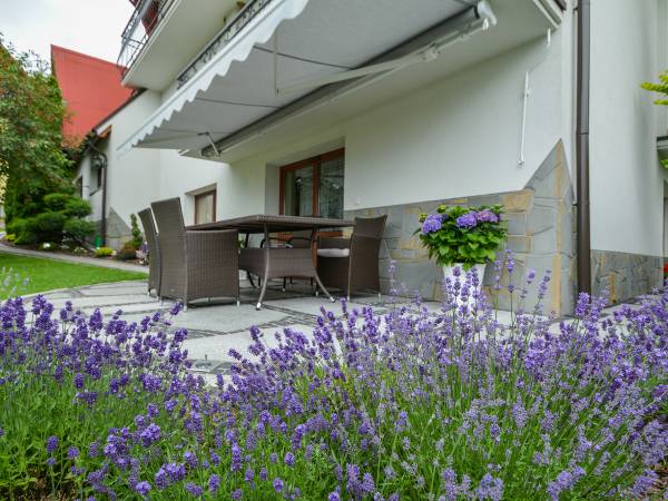 Pensjonat Willa Pienińska