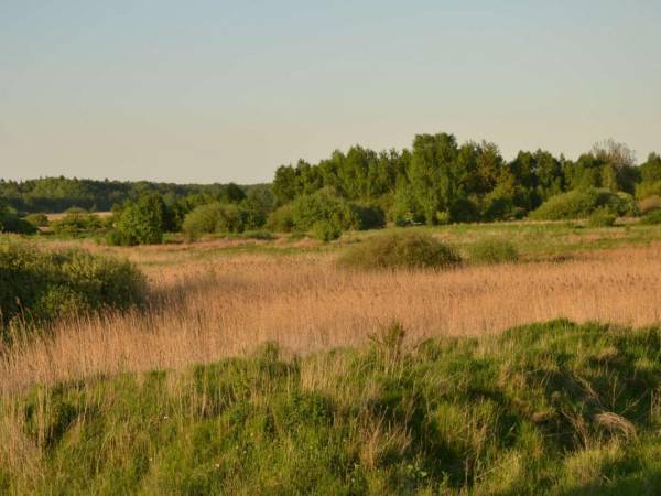Natura 2000, widok z posesji od strony płn./ wsch.