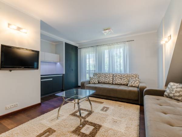 Apartament 13 - Pokój dzienny,Aneks kuchenny 