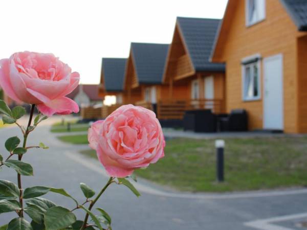 Biały Łabędź domki całoroczne