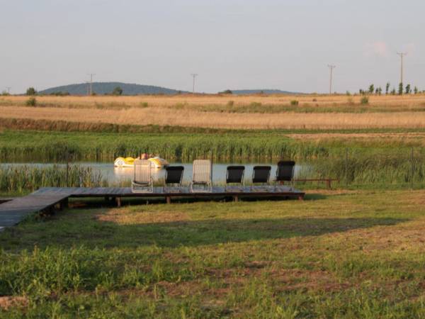Biały Łabędź domki całoroczne