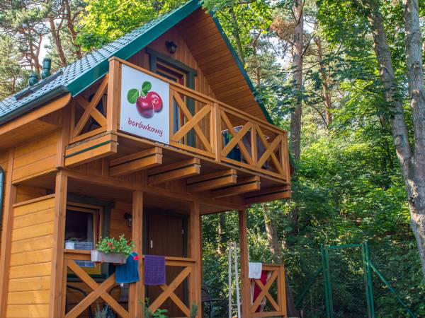 Domek Borówka pod lasem do palży 15 minut lasem sosnowy las 